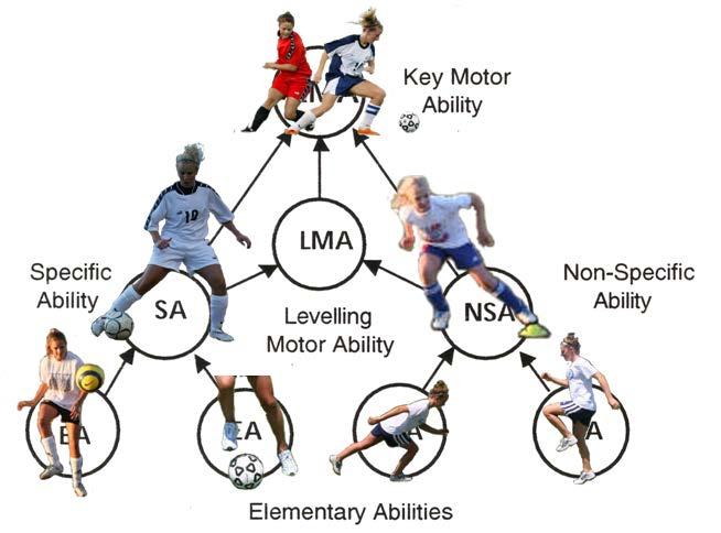 2 SoccerFIT Academy Game Speed Testing Program In Figure 2 (on the right) you can see the highlighted right side of the triangle, which represents the physical development side, or the non-specific