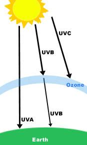 The ozone problem O 3 absorbs the sun s UVC rays and most of the UVB rays