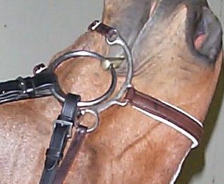 Crescent noseband Photos of Kineton Noseband both off and on a horse: use of this noseband is NOT legal in dressage.