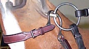 For the FEI Junior Preliminary Test, a plain snaffle bridle or simple double bridle may be used, as above in Art. 1921.2-.3.