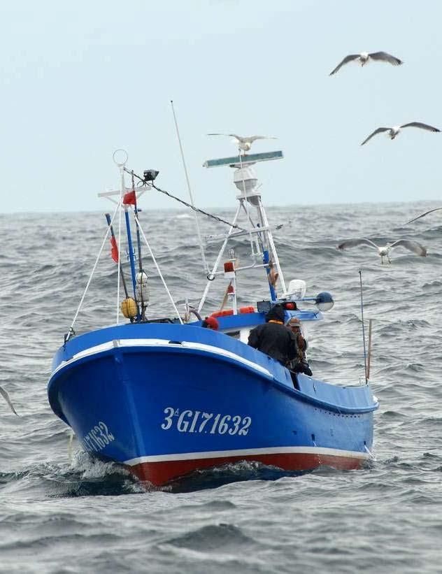 Oceana fishing opportunities