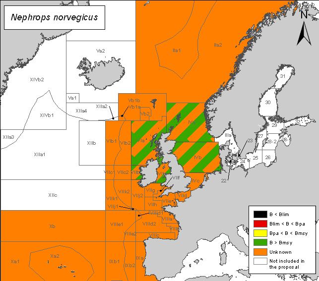 Management should be according to Functional Units Norway lobster (Nephrops norvegicus) Species description Norway lobster occurs throughout the continental shelf and the East Atlantic slope, from