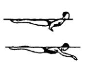 SYNCHRONISED SWIMMING APPENDIX II BASIC POSITIONS In all basic positions: a) arm positions are optional, b) toes must be pointed, c) the legs, trunk and neck fully extended unless otherwise