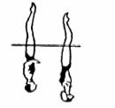 SYNCHRONIZED SWIMMING 5 BALLET LEG DOUBLE POSITION a) Surface Legs together and extended perpendicular to the surface. Head in line with the trunk. Face at the surface.