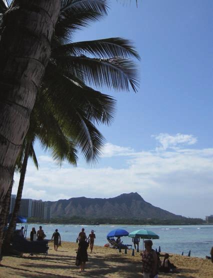 IIE will be your gateway to a uniquely Hawaiian experience that you will always remember.