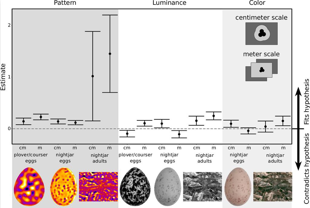 Figure 4: Model esimaes of planned comparisons in paern, luminance, and colour camouflage maching beween zones wih 95% confidence inervals.