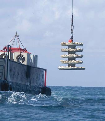 NEW ARTIFICIAL REEF LOCATIONS New Artificial Reef Locations Florida manages one of the most diverse and most active artificial reef programs in the United States.