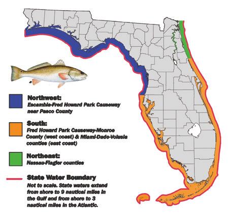 Great barracuda (map not included) also has a new bag limit of two fish per person and six per vessel that applies within all state and federal waters off Collier, Monroe, MiamiDade, Broward,