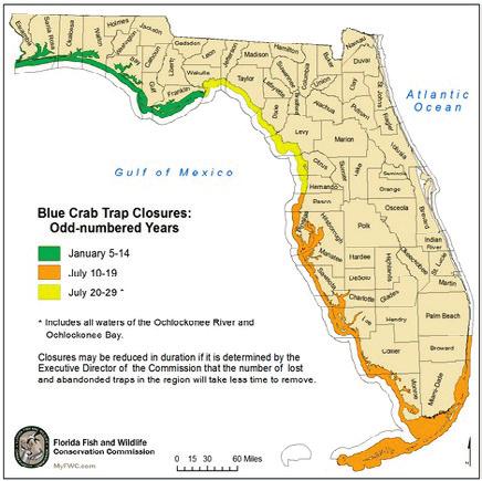 com/Fishing/Saltwater/Recreational/Blue-Crab. Red Drum Management Zones Spotted Seatrout Management Zones For red drum, there are three management zones.