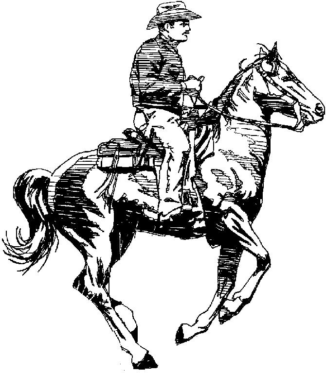 Texas Cowboy Packet The Ranching