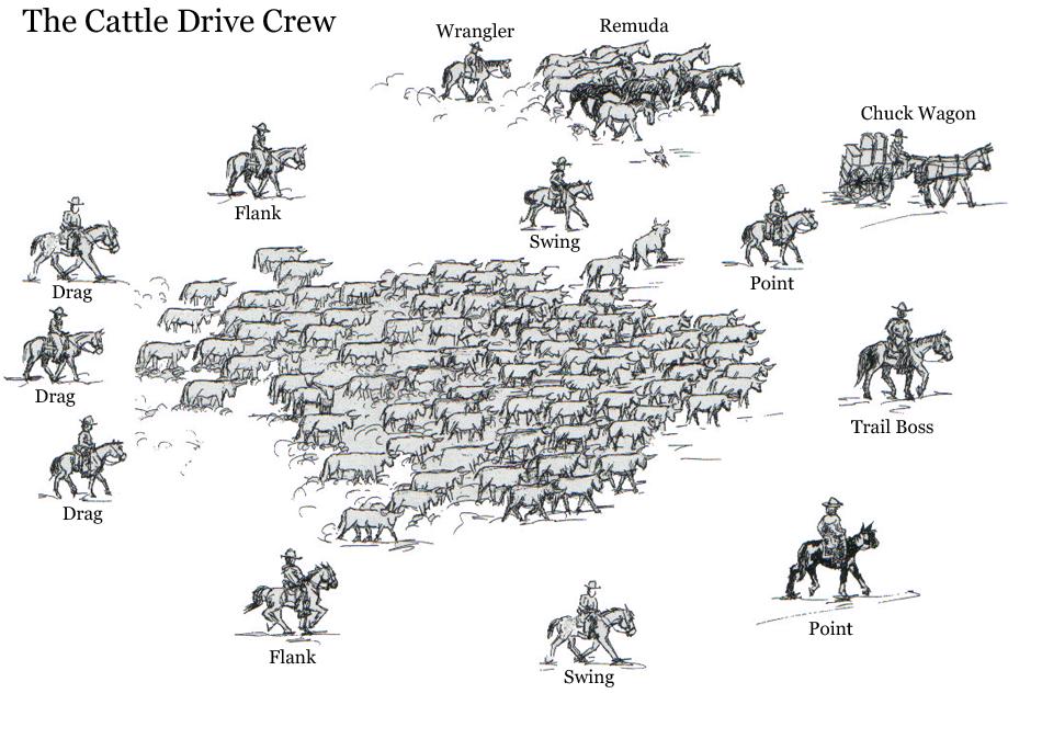 Label the positions on the cattle drive as described in the reading.