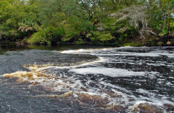 A LITTLE STEINHATCHEE HISTORY Steinhatchee's long history of human habitation includes prehistoric man dating from 12,000 BC, pirates from the 15th through 18th centuries, loggers in the 1800s,
