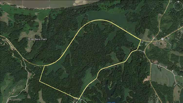 TRACT 2 -MIDDLE TRACT 265+/- ACRES - $339,000 ($1,279/AC) MIDDLE TRACT POTENTIAL DEVELOPMENT This agricultural/wooded property has road frontage on both Highway 59 and Dolan Road, making it an ideal