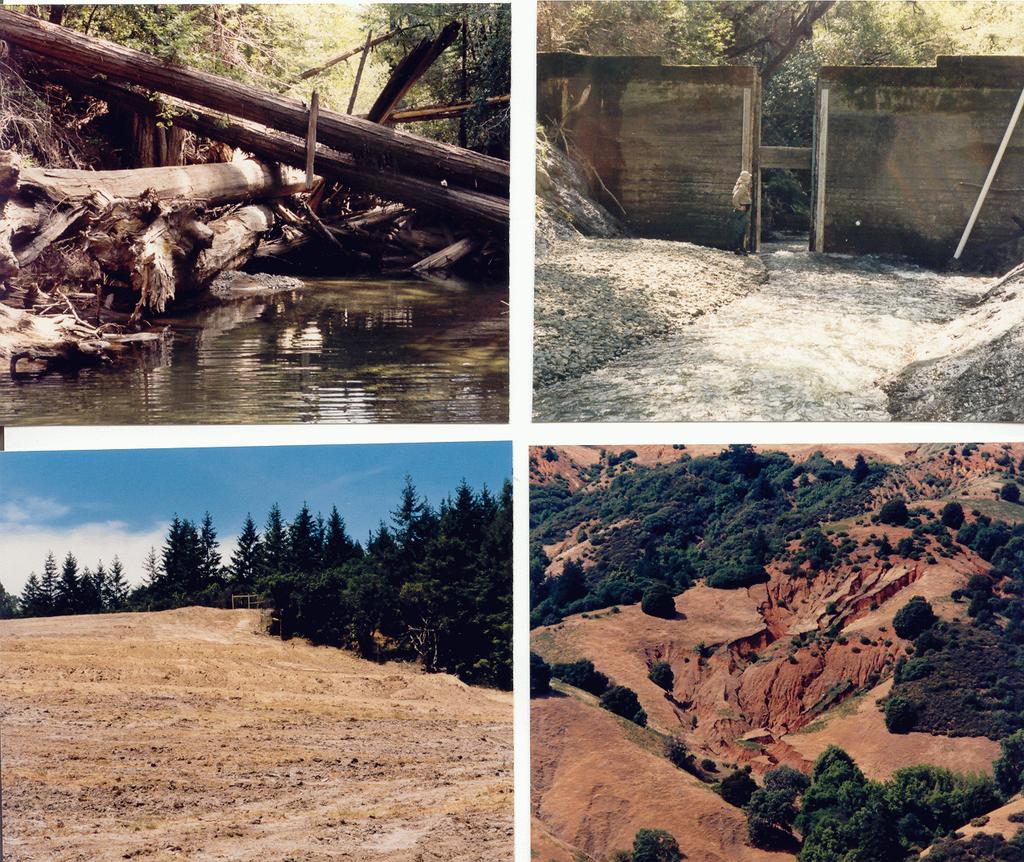 STEELHEAD SPAWNING SURVEYS, WHEATFIELD FORK AND OTHER SELECTED REACHES, GUALALA RIVER, CALIFORNIA, 2002 Richard W.