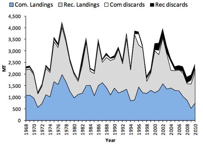 Figure 2 Figure 2. Commercial and recreational landings and discards in metric tons through time. Figure borrowed from 53rd Northeast Regional Stock Assessment Workshop (NEFSC 2012a).