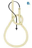 Used on rings, spars or cleats, a properly formed bowline is strong, resists