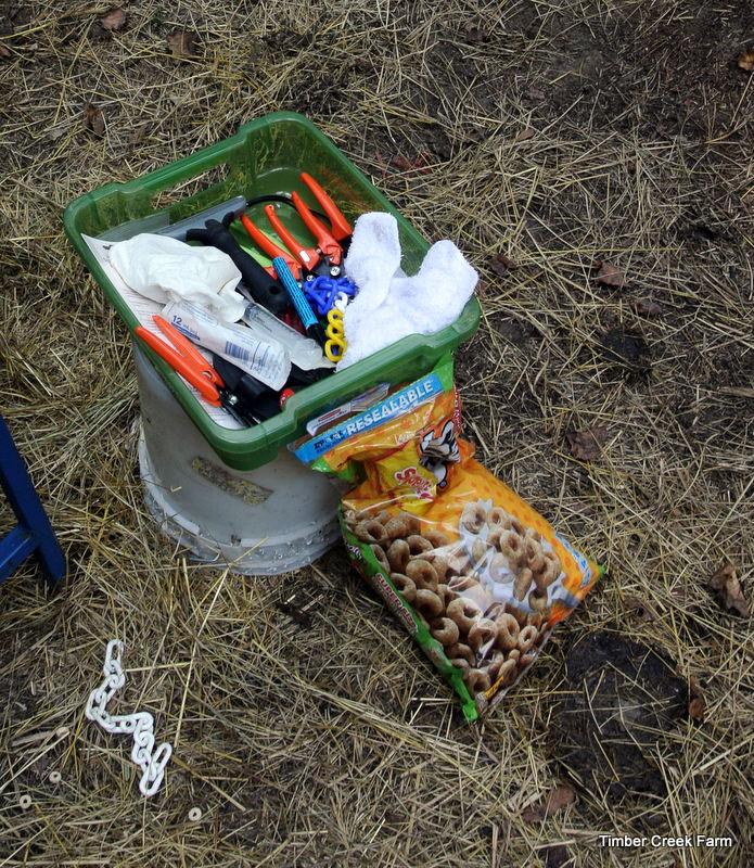 Some yummy treats for hoof trimming time on our farm, include honey nut cheerios type cereal, whole peanuts and apple and oat horse treats Some of the items I recommend having close by
