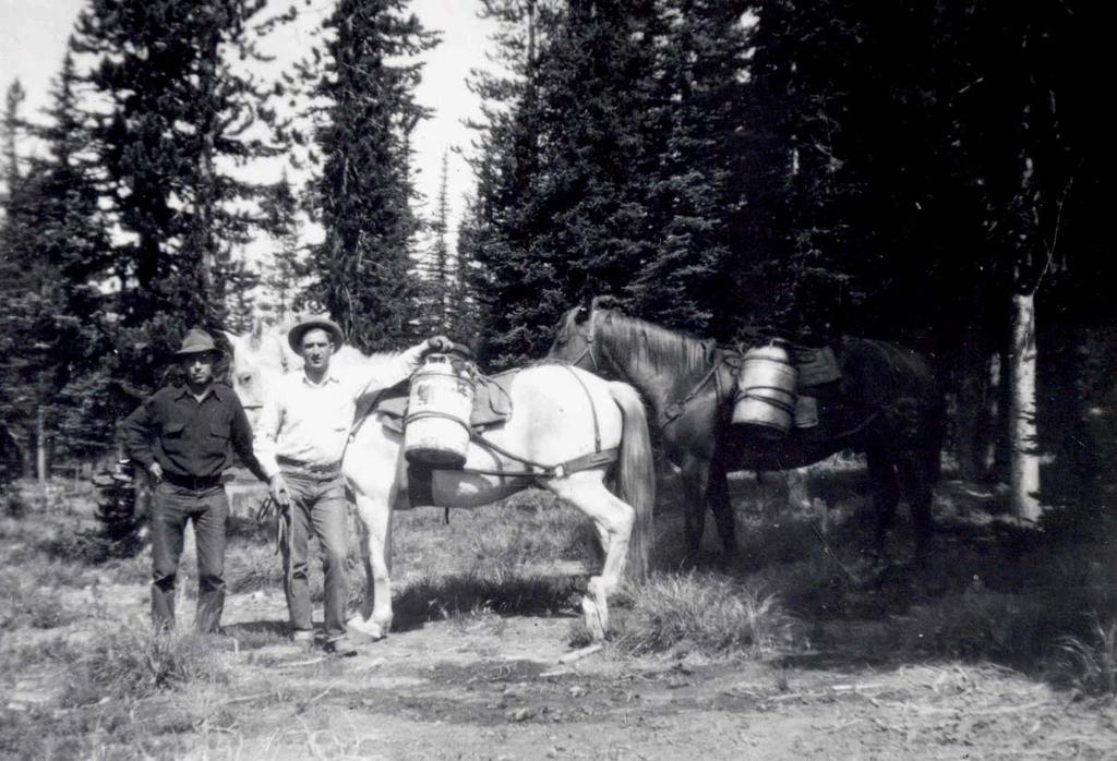 Development of High Mountain Lake Fish Stocking in Idaho - Timeline 1920 - Fish and Game and the Forest Service began hauling trout in ten gallon milk cans (one pound of one inch trout) on pack mules