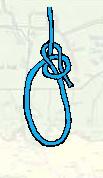 smaller. N.B. The Bowline is used to make a loop in a rope or to tie to a ring or post It is a secure knot but cannot be untied when under load. Figure 15 - Bowline 4.
