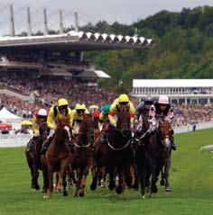 Racing can boast year round availability and four out of the top ten most highly attended sporting events in Britain, namely Royal Ascot, the Cheltenham Festival, the Derby and the Grand National.
