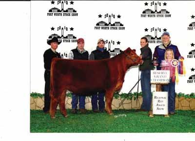 She is a full sister to Tess 751T, the two-time National Champion Female. 9110W offers the same type of style and presence that her sister does, just in a larger frame package.