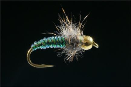 The end result is that for most successful winter trout fishing you will need to fish nymphs.