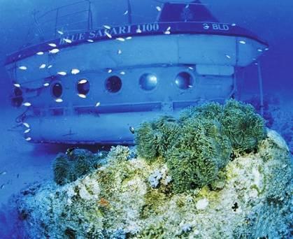 Discover the magic of marine life and explore coral reefs in the total security and comfort of this genuine sophisticated and air-conditioned submarine, unique in the Indian Ocean.