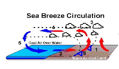 breeze circulation is induced