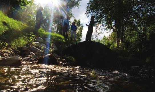 A range of partners, including the Matanuska-Susitna Borough, National Marine Fisheries Service, The Nature Conservancy, Wasilla Soil and Water Conservation District, and the U.S. Fish and Wildlife Service, has replaced more than three dozen problem culverts and bridges that block the safe passage of young salmon.