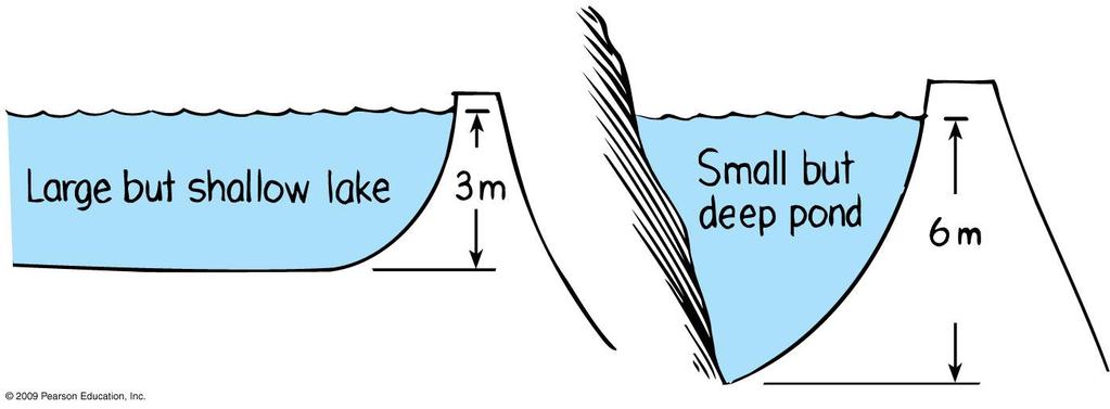 Pressure does not depend on the amount of liquid Volume is not