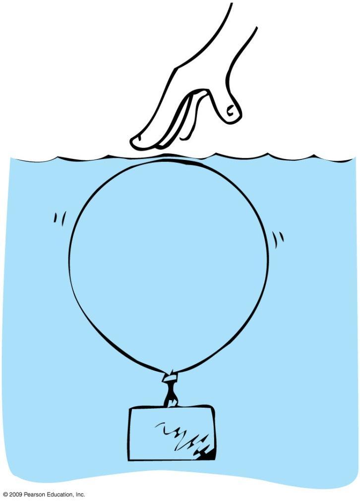 Unnumbered Figure 13.6 41. A balloon is weighted so that it is barely able to float in water.