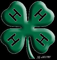 JUNIOR FAIRBOARD APPLICATIONS 4-H members, at least 12 years of age as of January 1, 2015, can apply for a position representing 4-H on the Noble County Junior Fairboard.