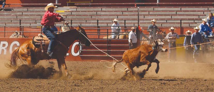 DAN HUBBELL Checking in with... Folmer grabs one on Kid Rock in 2005 for Bubba Strait in Ellensburg.
