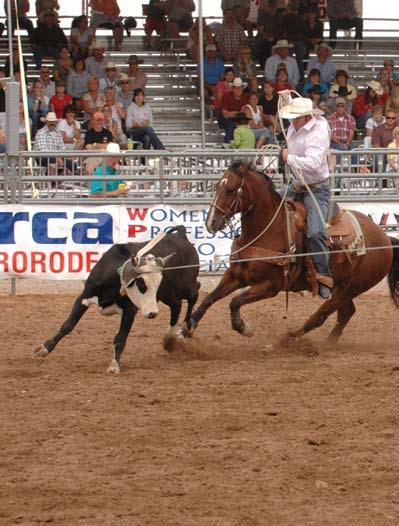 The rope horse traces back to the foundation of the breed itself, said Jennifer Hancock, spokeswoman for the AQHA.