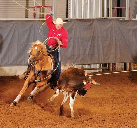 Annie is not only a decorated rope horse with that Youth championship and her 2006 reserve champion title in Junior Tie- Down Roping, but she and Rogers have earned several titles in amateur working