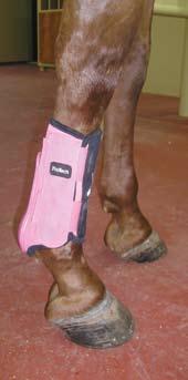 These support boots made by Classic Equine are applied correctly, with the straps on the outside of the leg and the reinforcement on the inside and down the back.