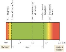 The Gas Laws and Diving Low oxygen pressure (such as at high elevation) can cause hypoxia, or oxygen starvation, resulting in dizziness, headaches, shortness of breath, unconsciousness, or death.