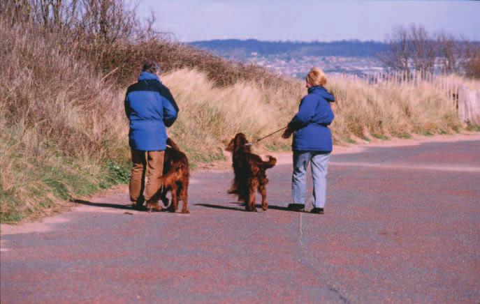 Use of the Exe Estuary Dog Walking Image 4aa: Dog walking at Dawlish Warren The Exe Estuary is a very popular location for dog walking, with activity focused on Exmouth Seafront, Dawlish Warren and