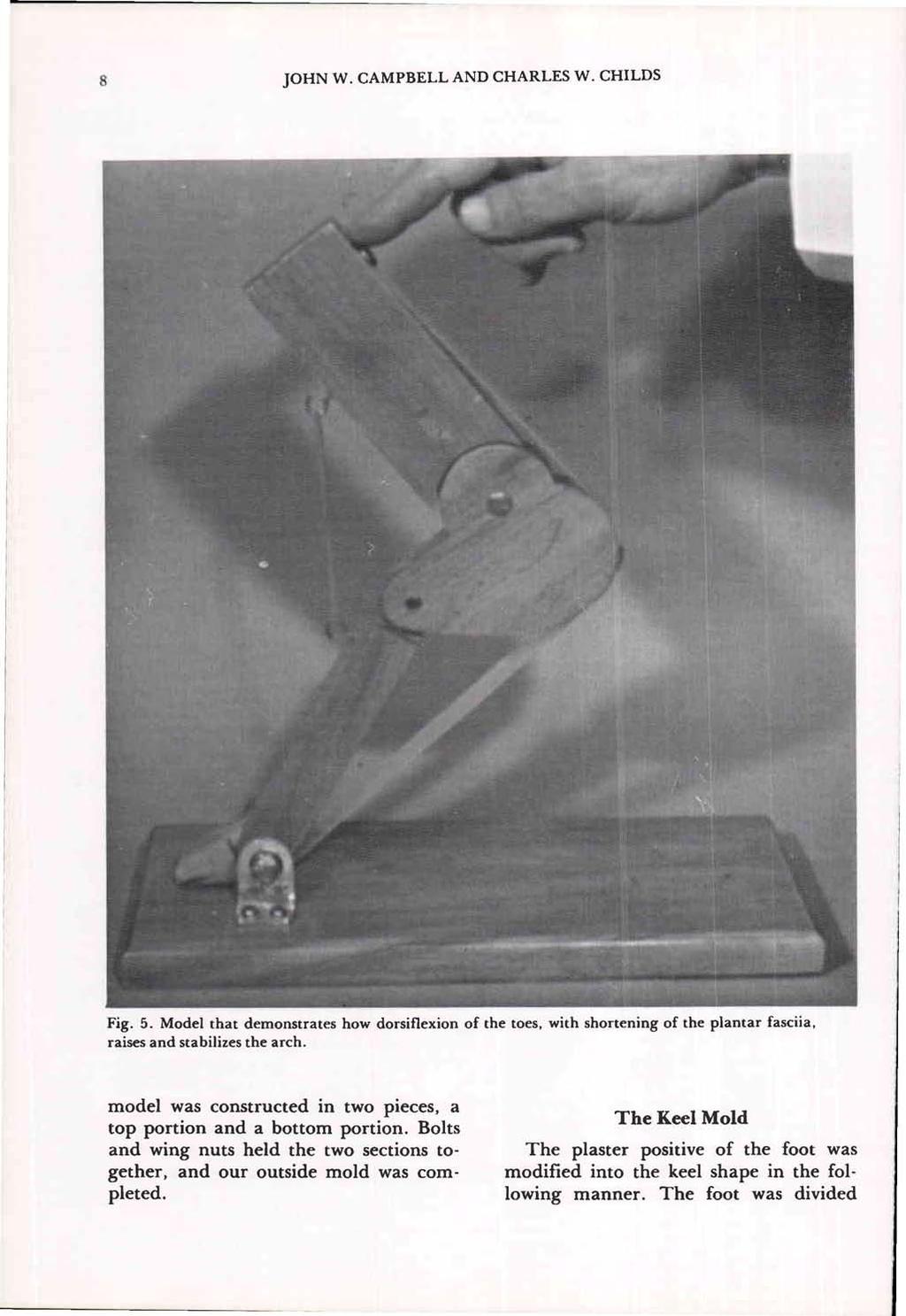 Fig. 5. Model that demonstrates how dorsiflexion of the toes, with shortening of the plantar fasciia, raises and stabilizes the arch.