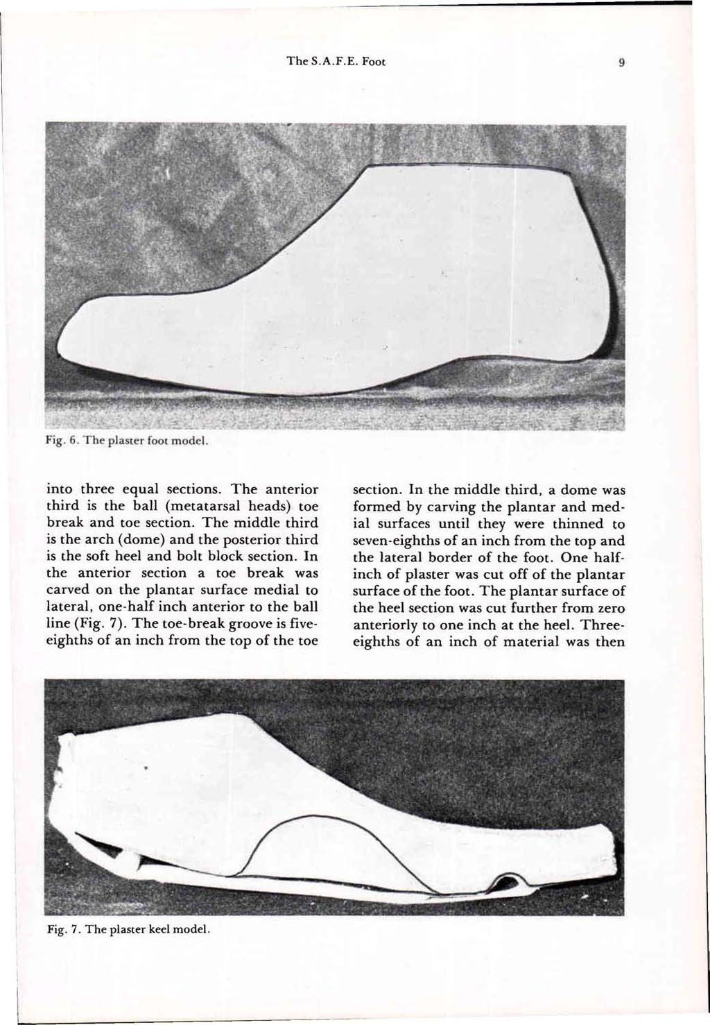 Fig. 6. The plaster foot model. into three equal sections. The anterior third is the ball (metatarsal heads) toe break and toe section.