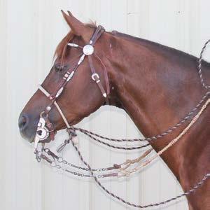 TWO-REIN: The two-rein stage is an integral element in the process of making a finished Vaquero Bridle Horse.