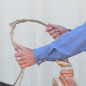 the Bridle must be ridden one handed. The bridle reins MUST remain in the sam e hand for the duration of the test.