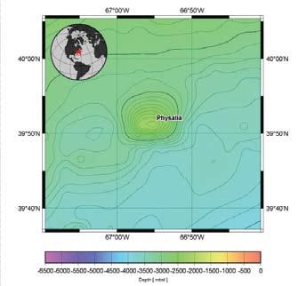 Physalia Seamount ] NOAA [ A wide variety of