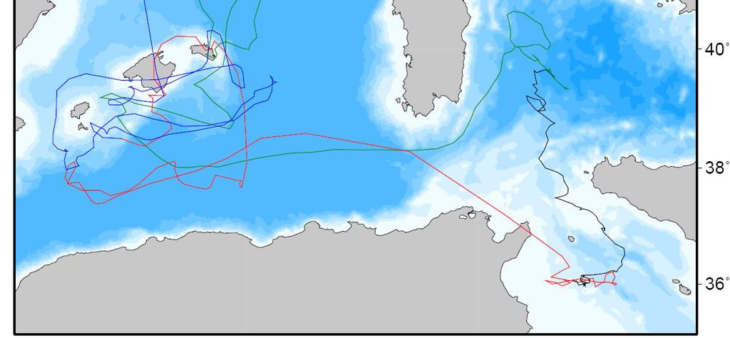 Estimated track of the juvenile tuna