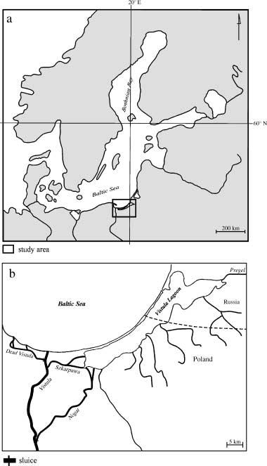 K. Jazdzewski et al. lake and within a decade had become more abundant near the Dead Vistula mouth, in the vicinity of a leaky dike separating the Dead Vistula from this lake (Fig. 4a).
