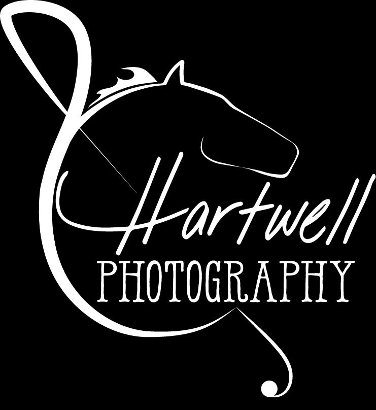 Book a private session to capture your horse show experience including show