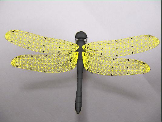 of wings are tracked is to simplify the deformation of a dragonfly s wings by assuming the wings are rigid.