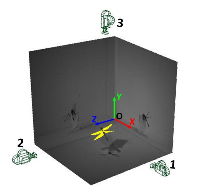 Figure 5 Motion in different time of the three cases filmed by 3D High speed photogrammetry system. a) IW, b) OFD, c) DFD.