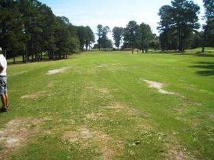 4. Special needs on fairway 2 & 3 These two areas of these two fairways still show chronic weakness and gaps in complete turf coverage.