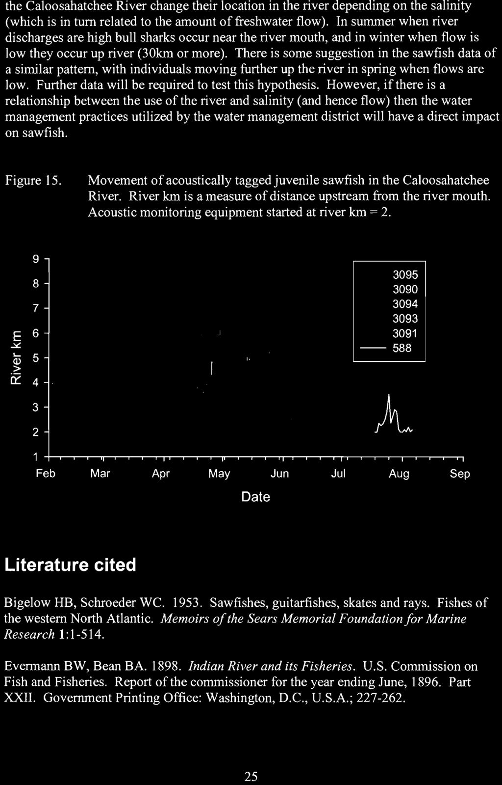 on sawfish. Figure 15. Movement of acoustically tagged juvenile sawfish in the Caloosahatchee River. River km is a measure of distance upstream from the river mouth.
